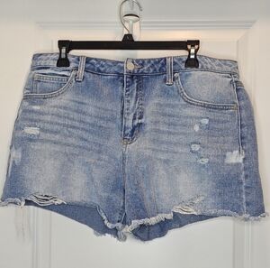 Time and Tru High Rise Blue Denium Destressed shorts, Women's Plus Size 16
